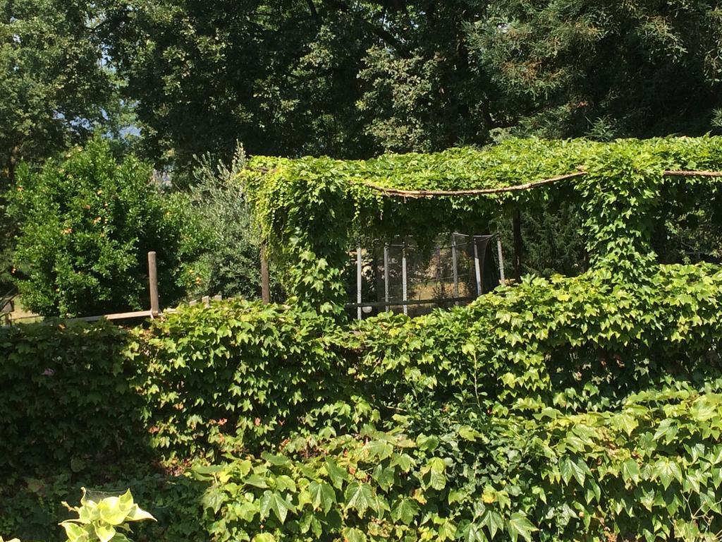 Fattoria Sequoia Bed and Breakfast Castagneto Po Zewnętrze zdjęcie