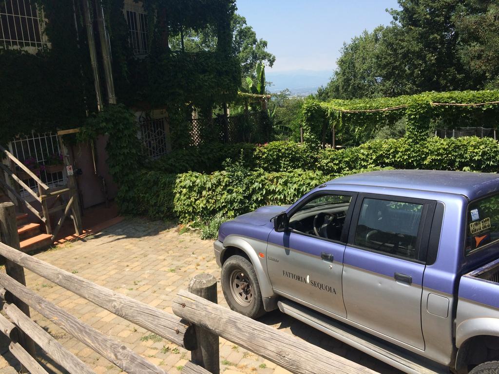 Fattoria Sequoia Bed and Breakfast Castagneto Po Zewnętrze zdjęcie