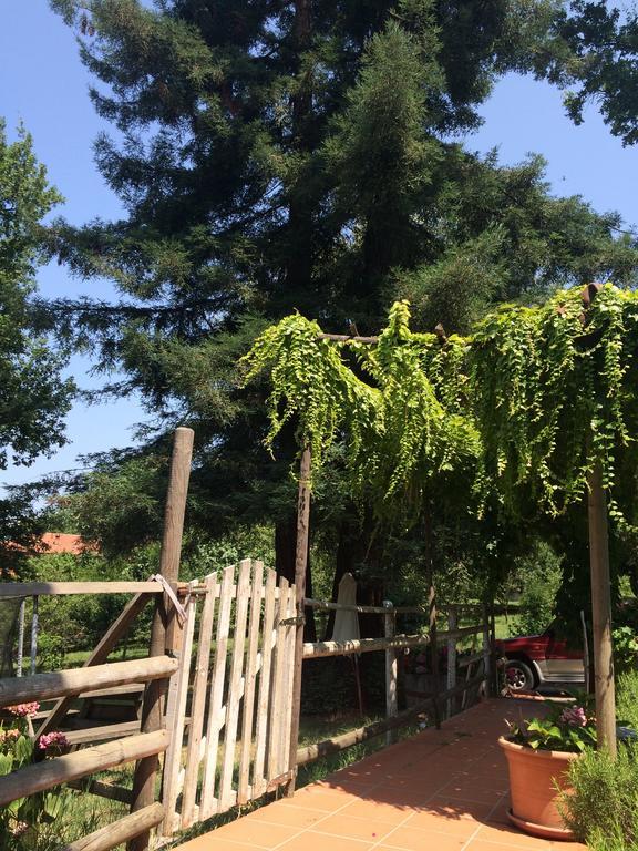 Fattoria Sequoia Bed and Breakfast Castagneto Po Pokój zdjęcie